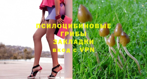 ПСИЛОЦИБИНОВЫЕ ГРИБЫ Абинск
