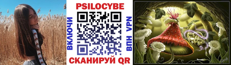 Галлюциногенные грибы Cubensis  даркнет сайт  Тайга 